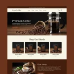 Marketplace vs. eCommerce Website