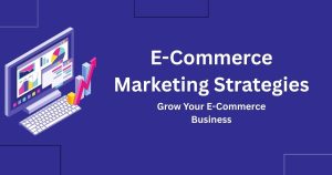 E-Commerce Marketing Strategies