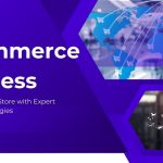 E-commerce Business