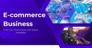 E-commerce Business